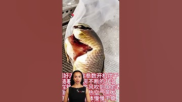 #fcnfm The Comprehensive Guide to Our Versatile Drying Solutions