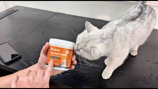 Calming Chews for Dogs & Cats with Magnesium Glycinate