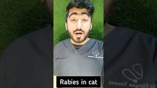 Rabies in cat  #Rabies #Cat #CatVaccine #RabiesVaccine