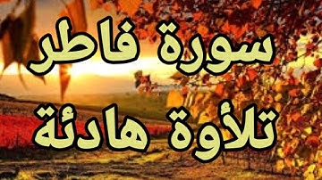 سورة فاطر تلأوة 💛هادئة تريح الأعصاب💛 سبحان من رزقه هذا الصوت 💛🎧