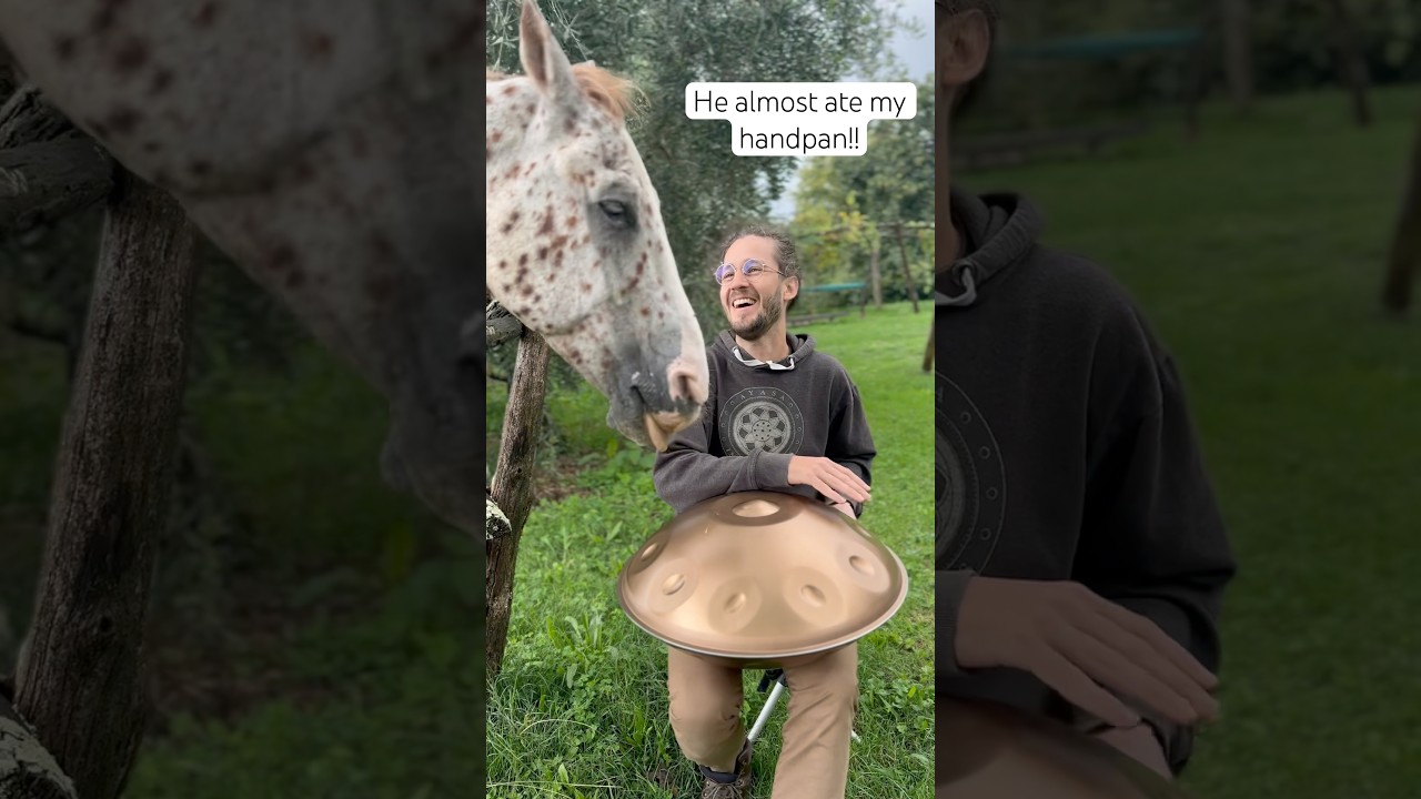 Leo almost ate my handpan!!