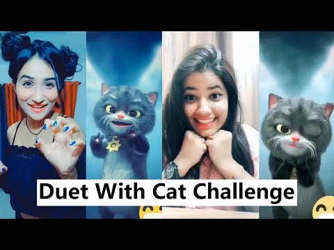Duet With Cat Challenge Musically Tiktok Compilation