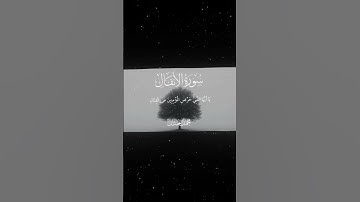 سورة الأنفال|64-65|القارئ:#محمد_اللحيدان #قران #quran #راحة_نفسية #قران_كريم#تلاوة_هادئة#تلاوة_خاشعة