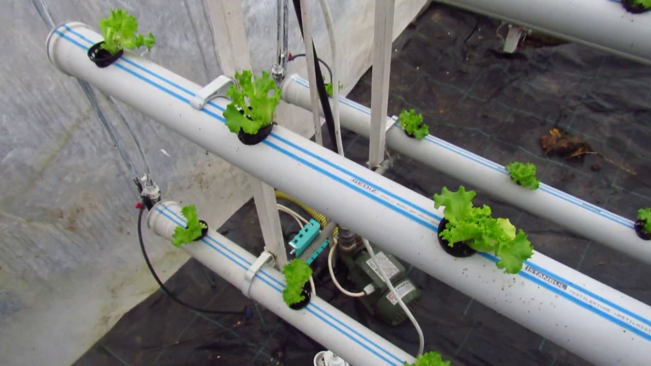 Topraksız Tarım Motorun Çalışma Süresi ve Zamanı