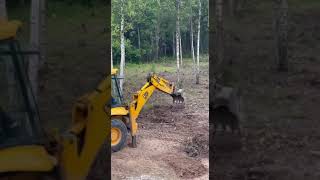 Расчистка участка, корчевание, планировка #jcb #стройка