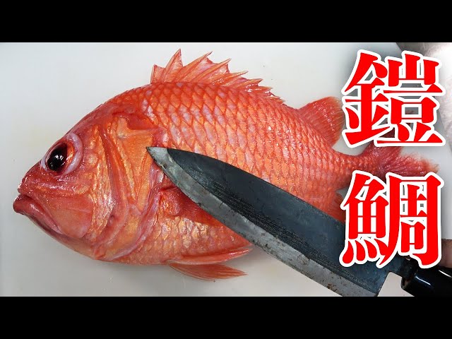 魚型の石膏型　鯛型 sddefault.jpg