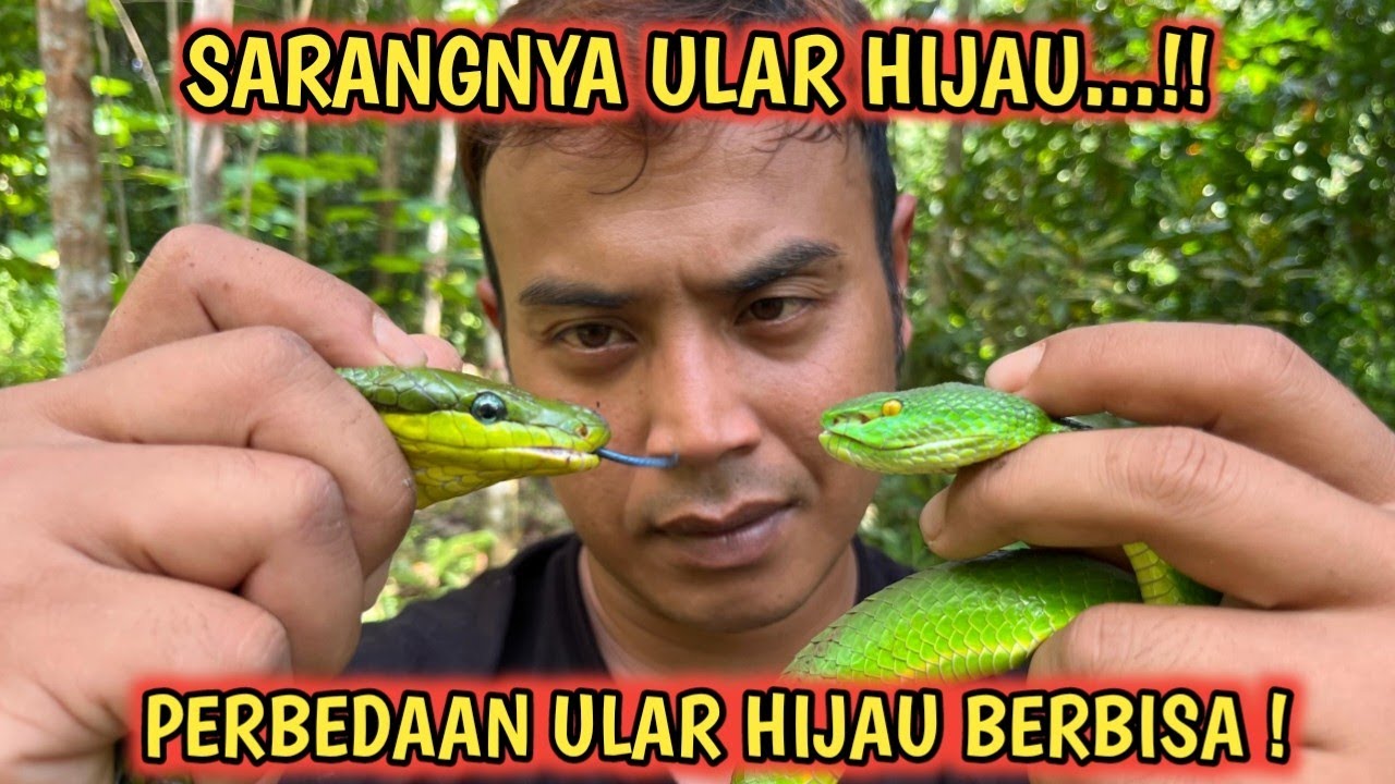 «