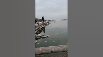 Câu cá Bến Giang (Tân An_Quảng Yên) 25/09/2024