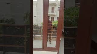 2bhk flat. for rent available sawrnjaynti puram ghaziabad. #sale #home #real state #viral #suscribe