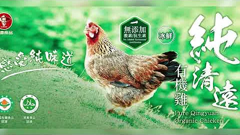 用數據加強公司資金周轉  Enhancing Business Cash Flow with Data - 天天要聞