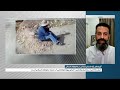 واکنش ها به گریه های یک باستان شناس در محوطه باستانی 