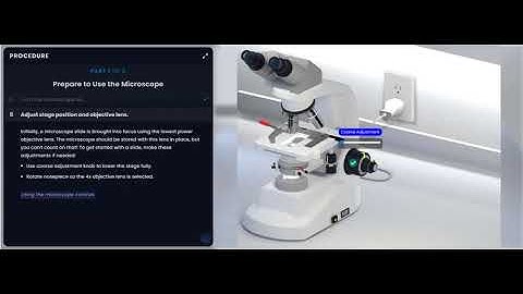 Pearson Interactive Labs | Compound Microscope