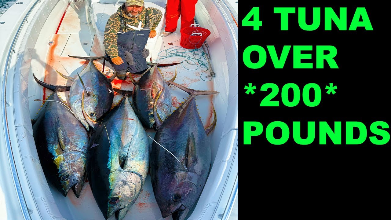 Best Day in GULF HISTORY (Record Day)