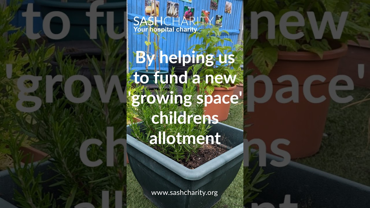 7 ways you can help at East Surrey Hospital