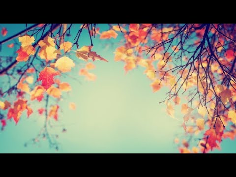 풋풋했던 그 시절 고은희 이정란 사랑해요 가사