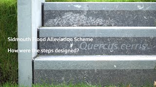 Sidmouth Flood Alleviation Scheme - How were the steps designed?