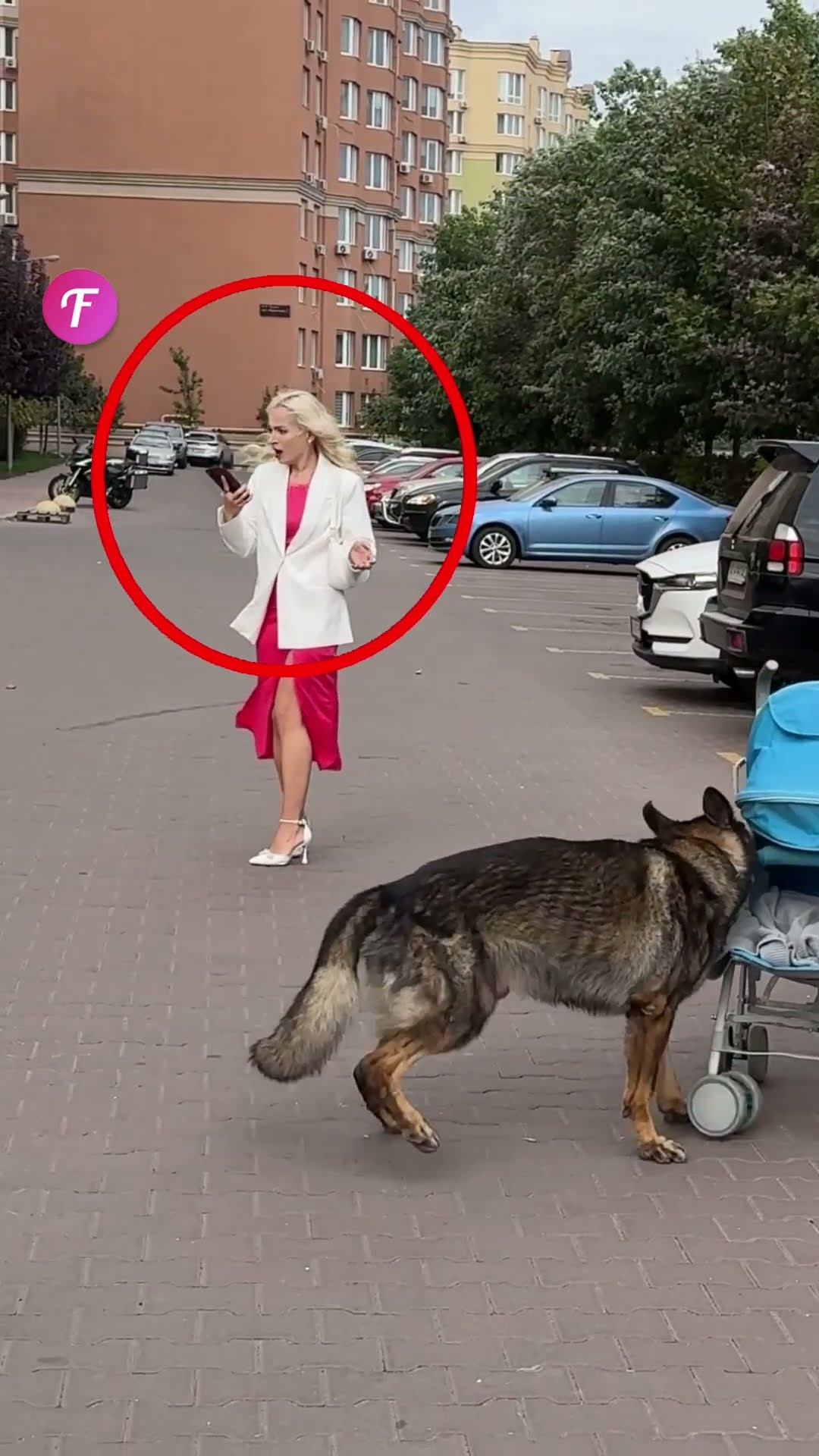 Quick Thinking Dog Prevents a Tragedy #shorts