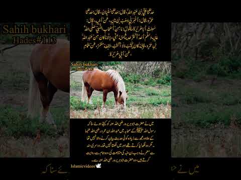 #explore #sahihbukhari #shortvideo #video #islamicvideo #deeneislam #hadees #hadith #beautyof islam