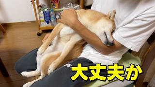 大丈夫か小夏ー！最近抱っこすると脱力がひどいんです