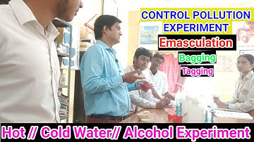 EXPERIMENT - Control Pollination, Alcohol,Hot and Cold Water Emasculation, Bagging, Tagging #Class12