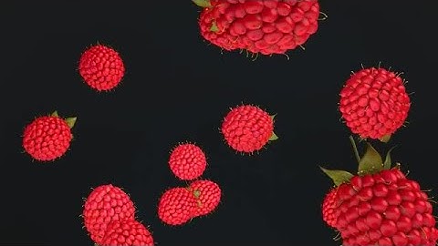 Leaping Fruits Pack Stock Motion Graphics