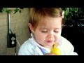 Finley tasting her first lemon