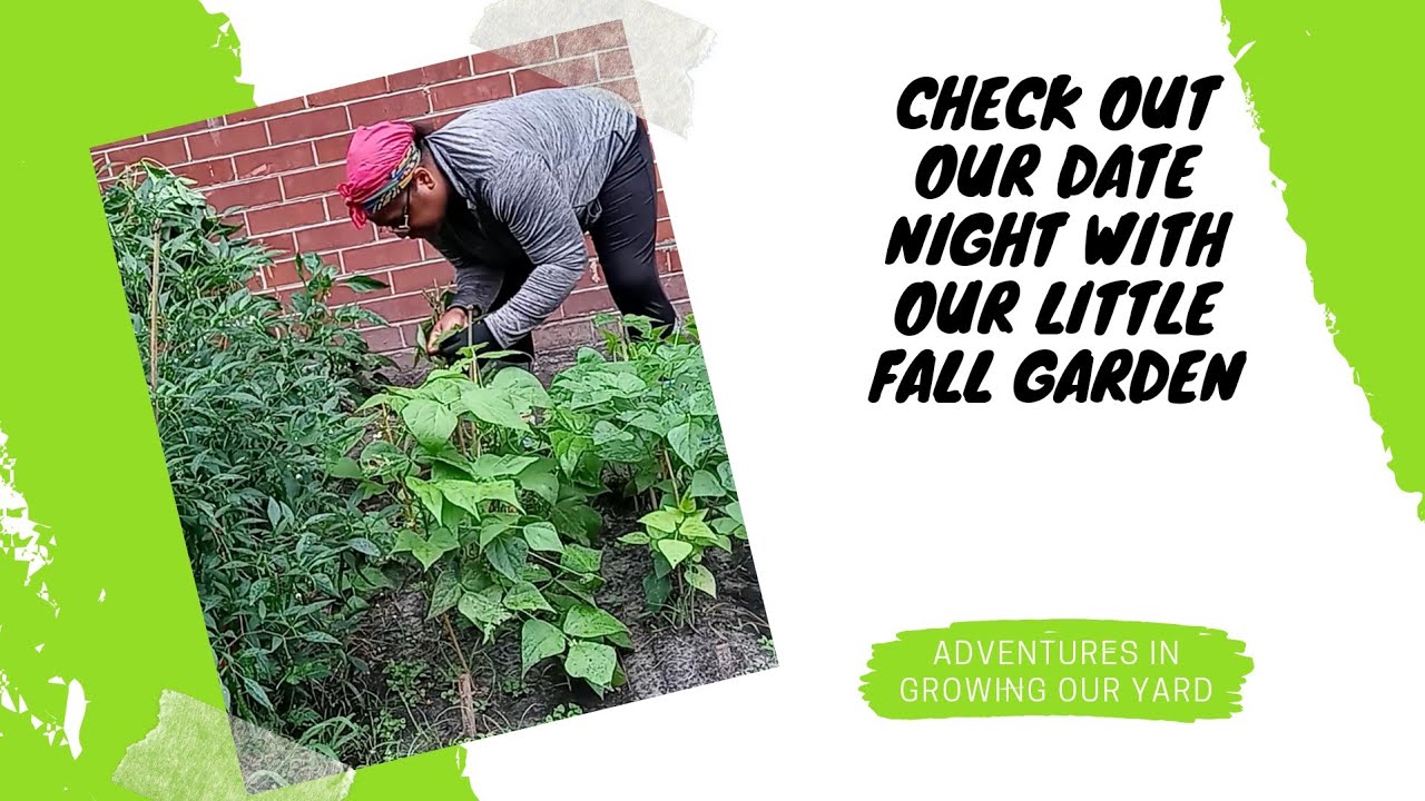 How To Plant A Fall Garden In YouTube