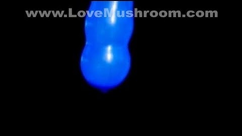 High Speed Camera : Bouncing Balloons in Super Slow Motion 2009