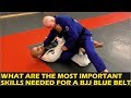 What are the most important skills needed for a bjj blue belt by john danaher