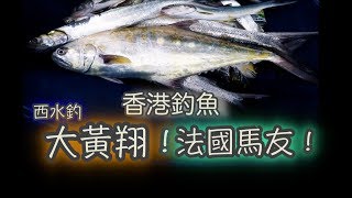 港水想輕鬆爆釣？屯門鈎頭蝦釣大黃翔！法國馬友！