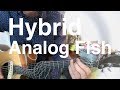 Hybrid / Analogfish(弾き語りcover)