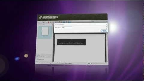 ClientUI SQLReportViewer Video Tour