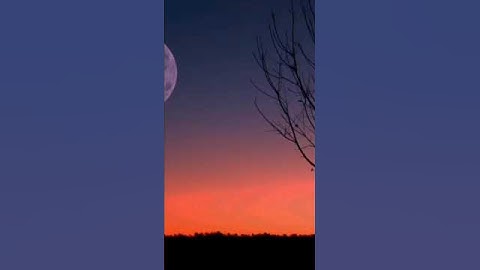 ما تيسر من سورة النجم 🌟🌙