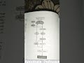 Apoptosis pathway in cancer biology #lifescience