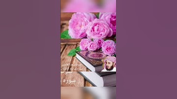 صوت سعدالغامدي سورة مبارکة النازعات #quran #youtube #allah