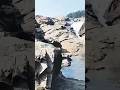 छोड़ेंगे न हम तेरा साथ#mohdaziz#govinda#love#song#travel#explore#nature#songlove#viral#ytshorts#fyp