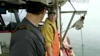 Dirty Jobs - DiscoveryRo- Lobster Boat