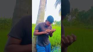 comedy funny new love song  funny video lick