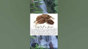 Surat Al-Muddaththir سورة المدثر (Ayat 11to15) translation Urdu ☝️❤️ #quran #viralvideo #shortvideo