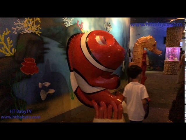Thủy Cung VinWonders Nha Trang ❤ VinWonders NhaTrang Aquarium ❤ Nursery Rhymes 4 Kids | HT BabyTV ✔︎