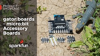 Product Showcase Gatorboards - Microbit Accessory Boards