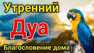 Утренний Дуа. Дуа Каждое Утро