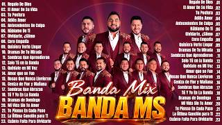 Las Mejores Bandas de Mazatlán: Banda MS, La Arrolladora,...