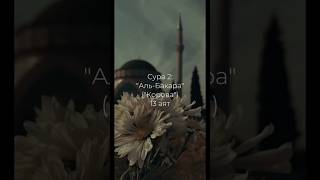 Сура 2: "Аль-Бакара" ("Корова") 13 аят #аллах #ислам #коран #альбакара  #длявас #ютуб #сура #аят