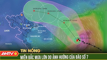 Bão số 7 đổ bộ vào Trung Quốc, miền Bắc mưa lớn hai ngày | ANTV