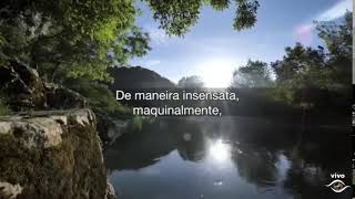 Apesar da falhas, podemos fazer o bem - 12/10/2025