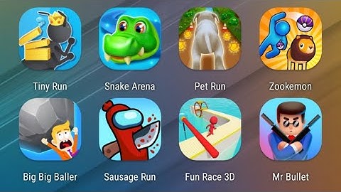 Tiny Run,Snake Arena,Pet Run,Zookemon,Big Big Baller,Sausage Run,Fun Race 3D,Mr Bullet