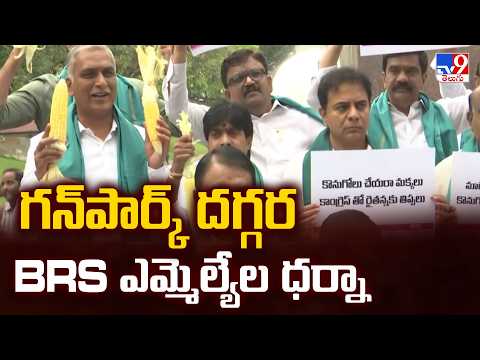 BRS MLAs Protest at Gun Park with Maize: Demand Immediate Purchase Centers | TV9 - TV9