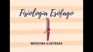 Fisiología Esófago + DISFAGIA