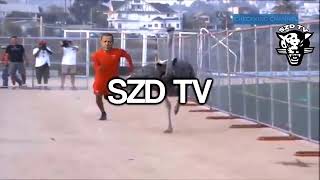 Cumhurbaskani Tayip Erdogan Bas Kaza Askim Bas